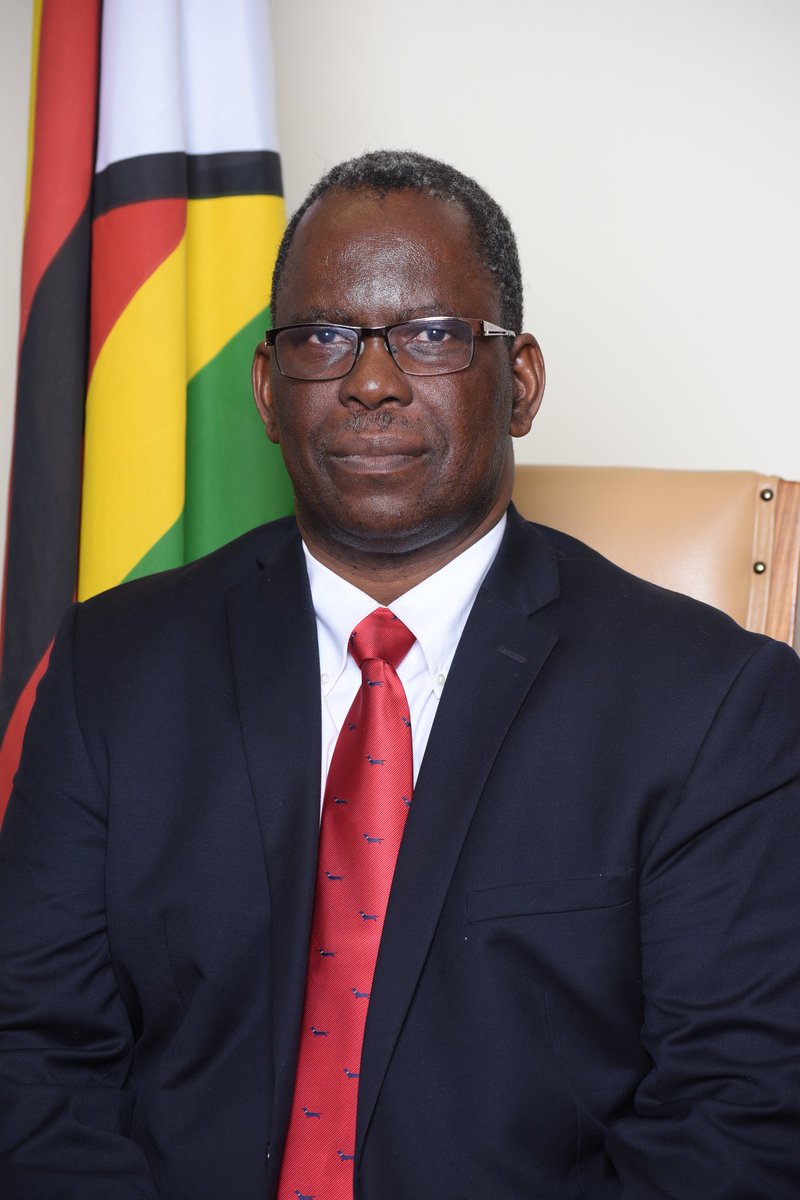 Prof. Fanuel Tagwira